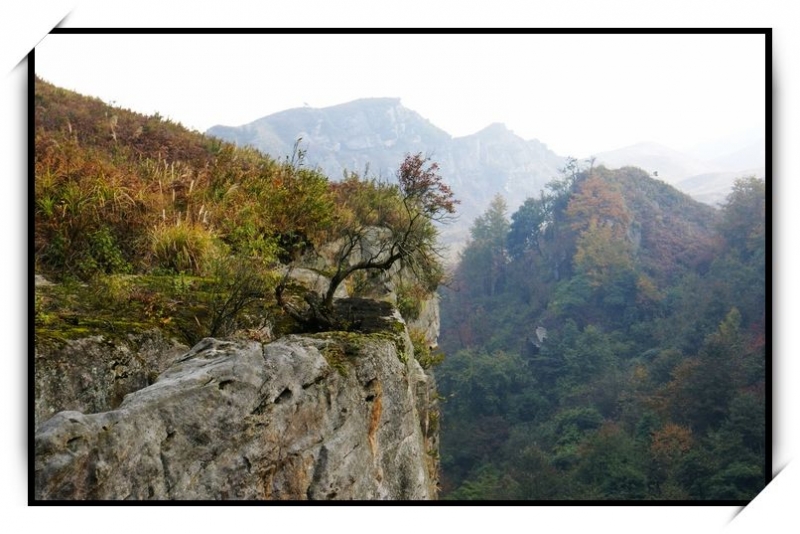 龙头大山一隅