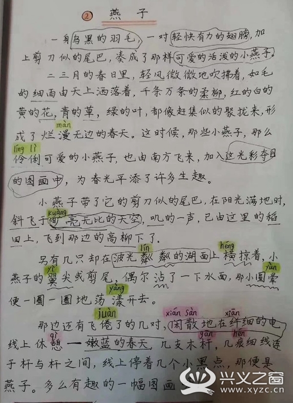 韦求正的手抄课文