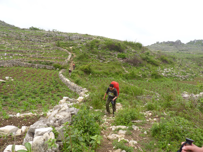 P1020730.jpg