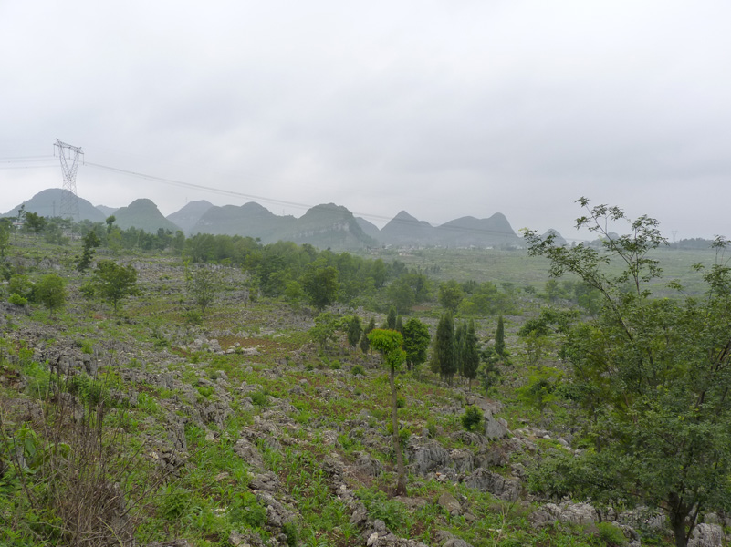 P1020746.jpg