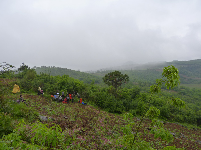 P1020789.jpg