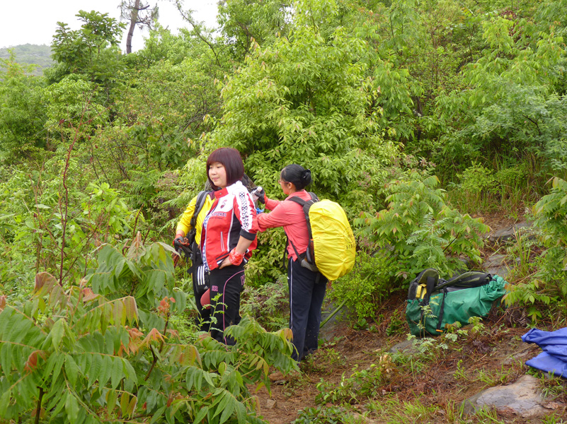 P1020786.jpg