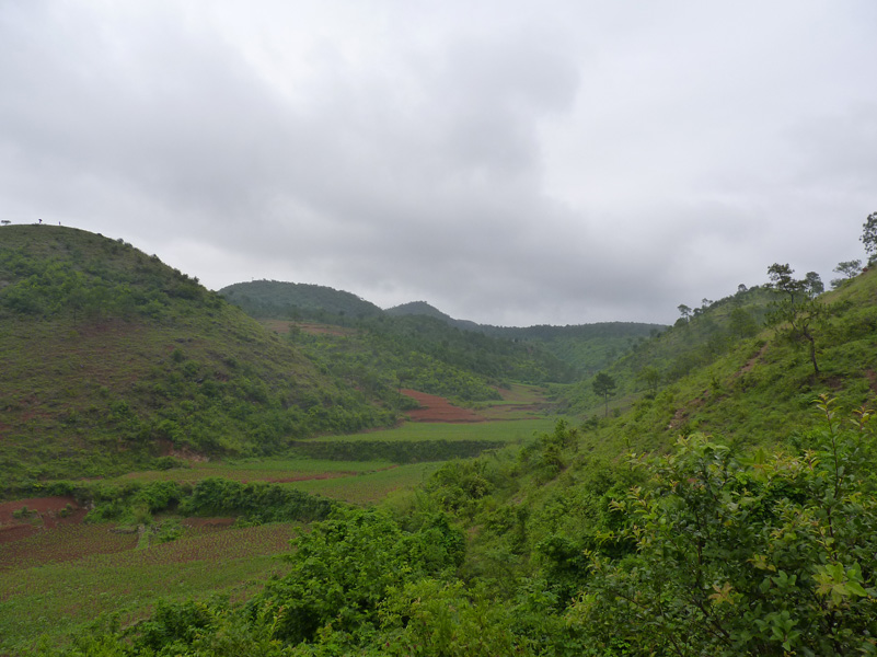 P1020799.jpg