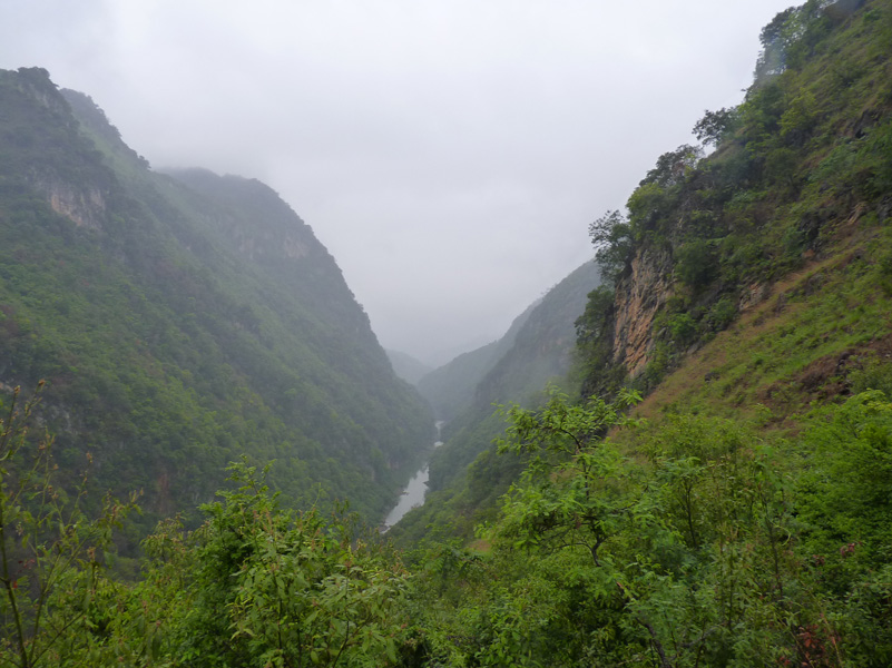 P1020804.jpg