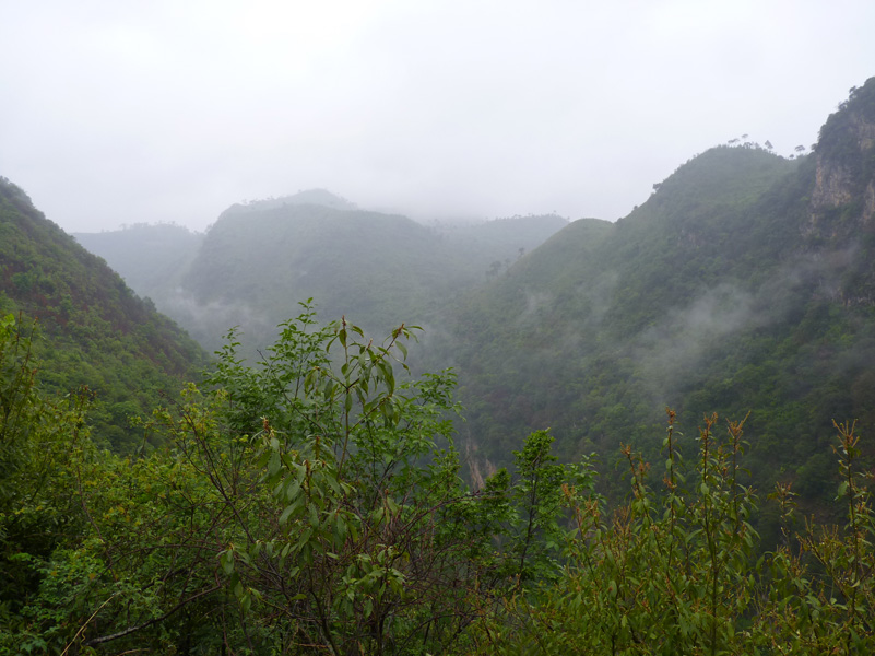 P1020805.jpg