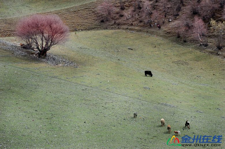 DSC_0210.jpg