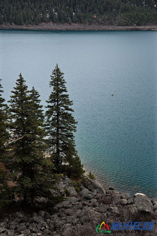 DSC_0236.jpg