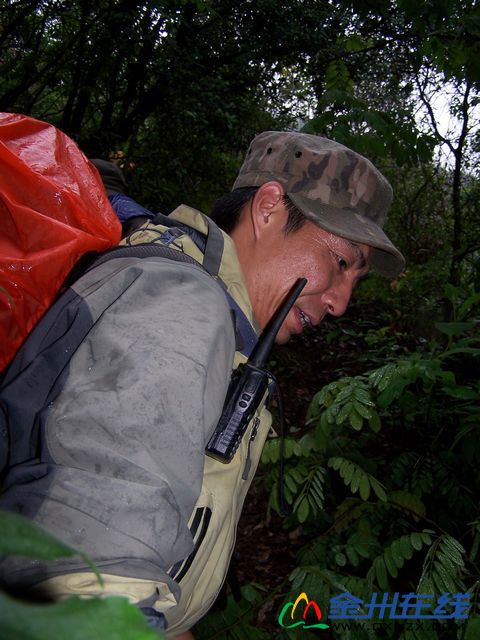38.jpg