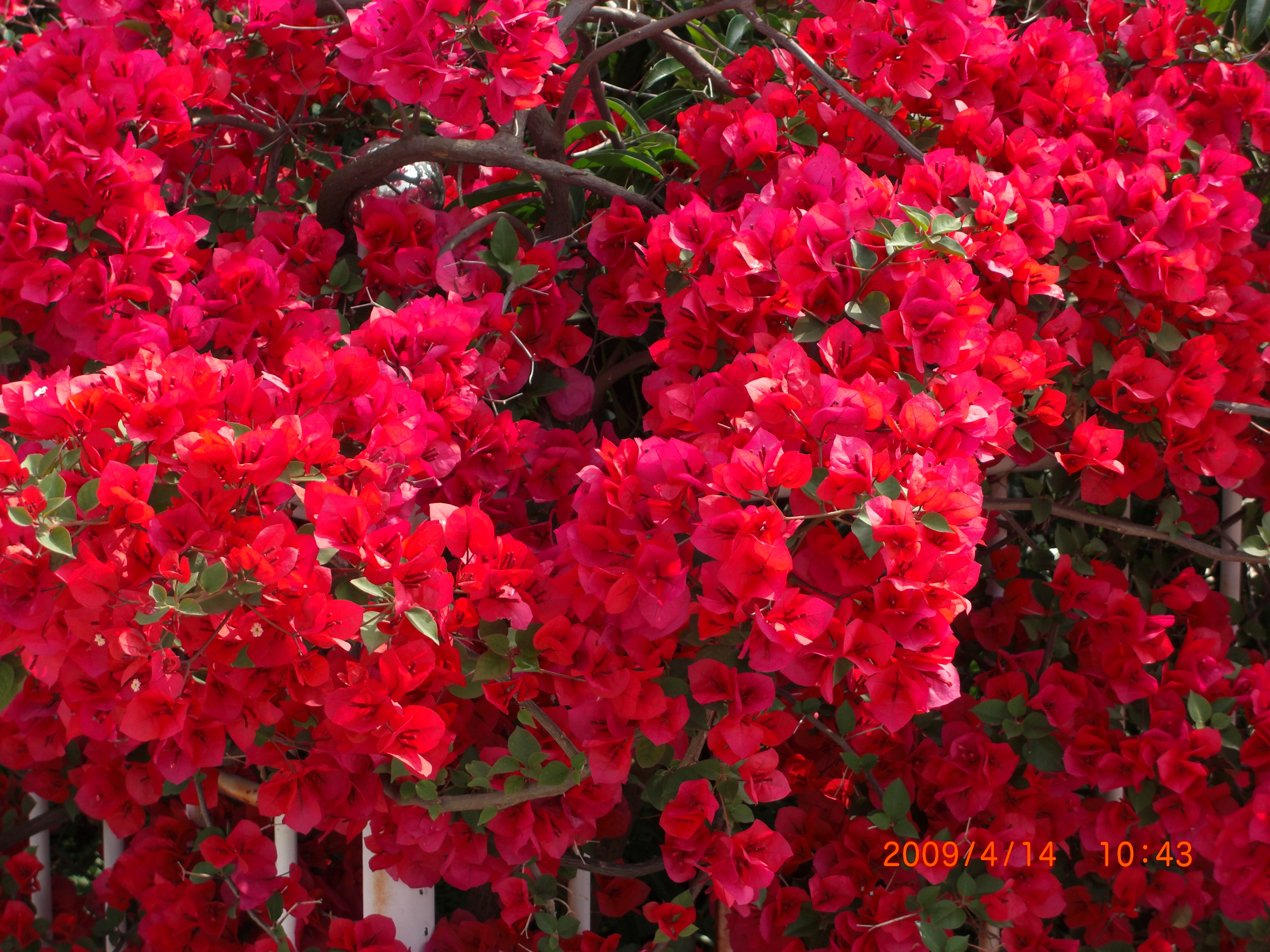 CIMG0110.JPG