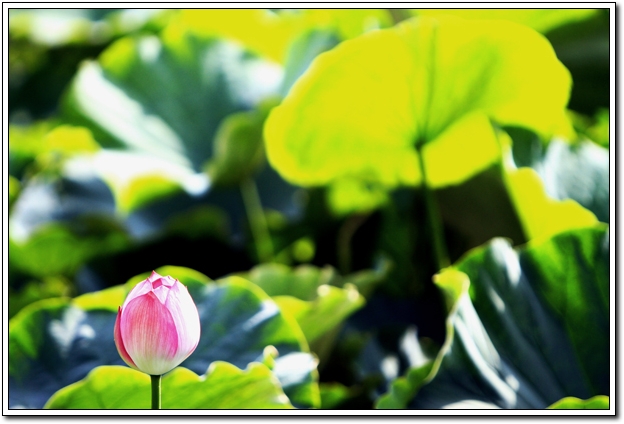 Ƭ503A 027.JPG