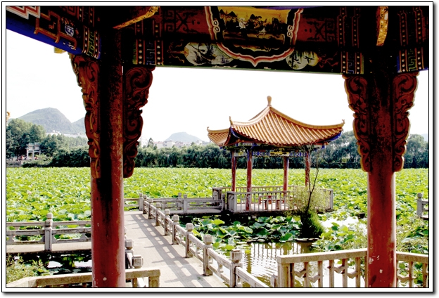 Ƭ503A 0108.JPG