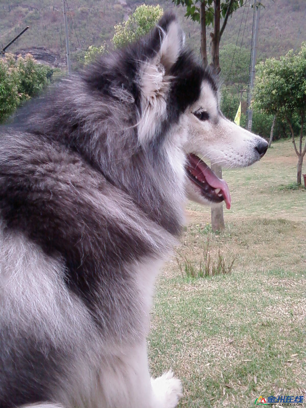 20100502(002).jpg