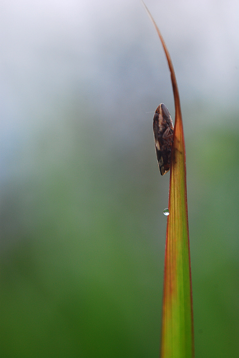 DSC_1538.jpg