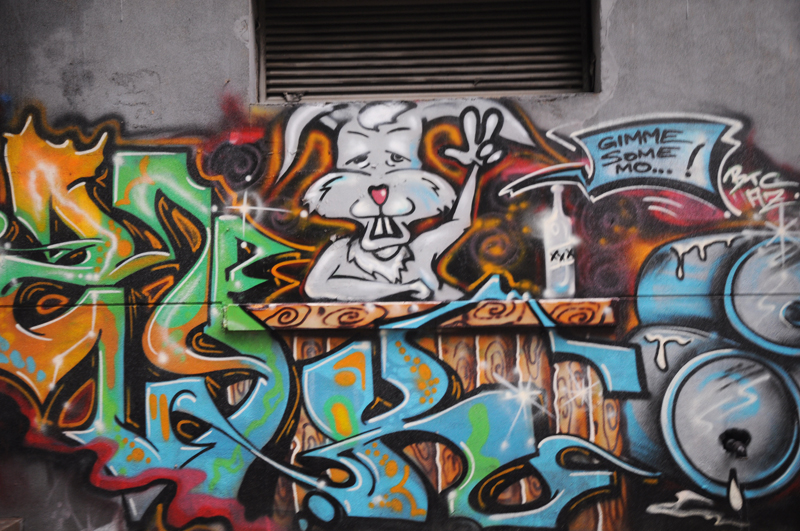 DSC_0063 .jpg