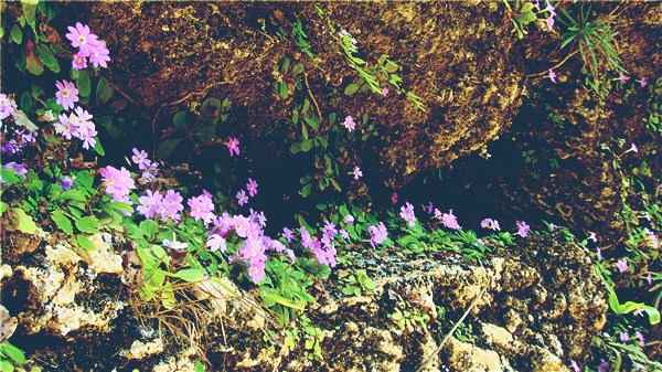 DSC01469_.jpg