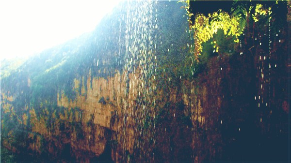 DSC01481_.jpg