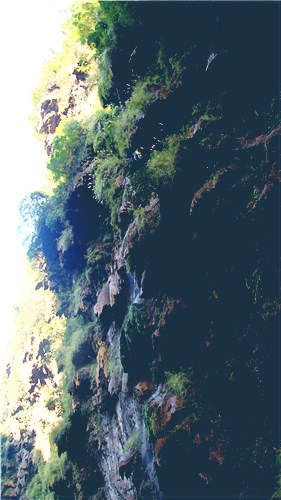 DSC01492_.jpg