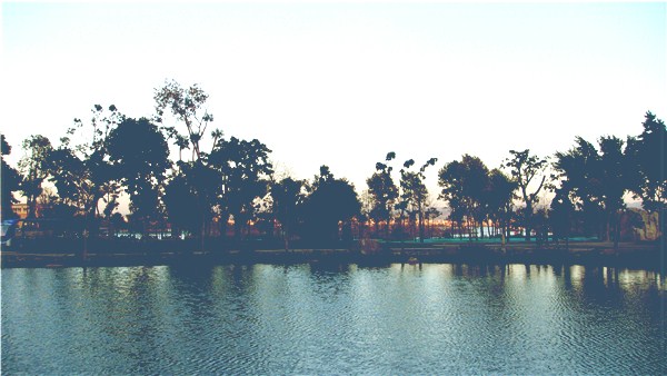 DSC02875_.jpg