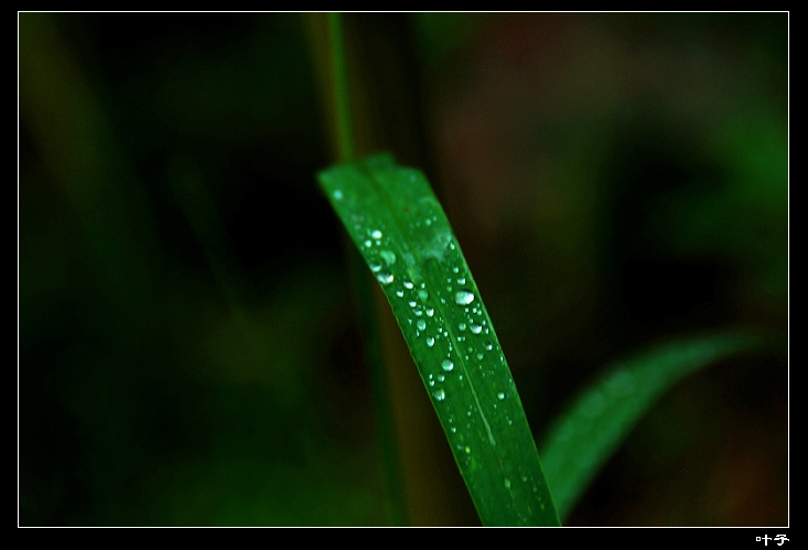 DSC_011400.jpg