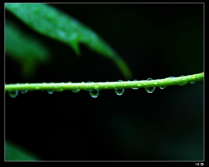 DSC_011800.jpg
