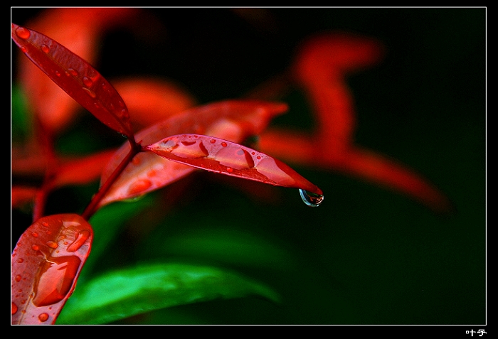 DSC_011900.jpg