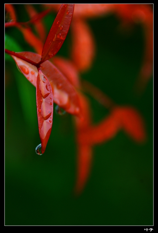 DSC_012000.jpg