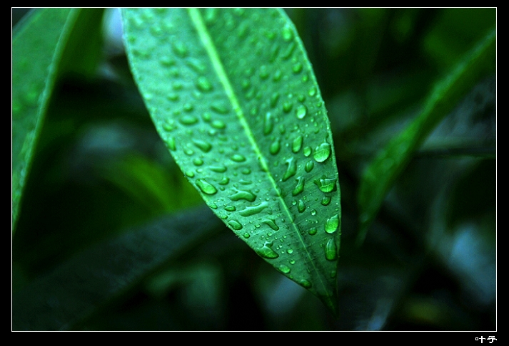 DSC_012800.jpg