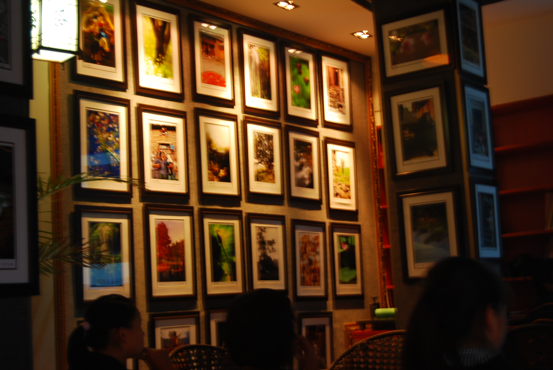 DSC_0039.jpg