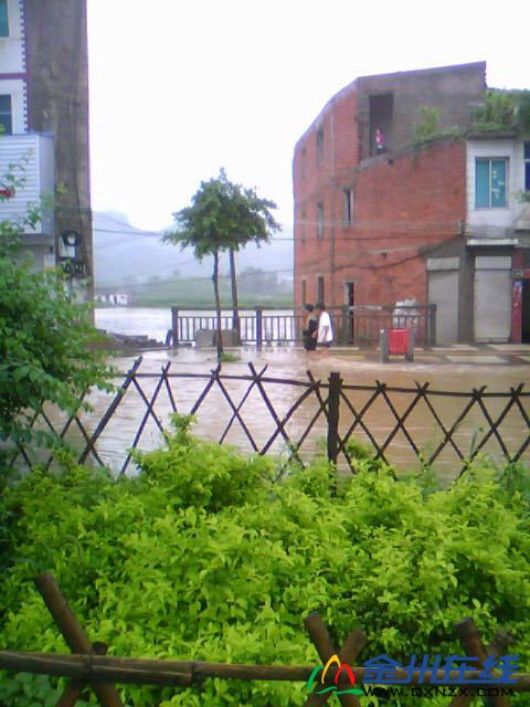 20100629A001.jpg