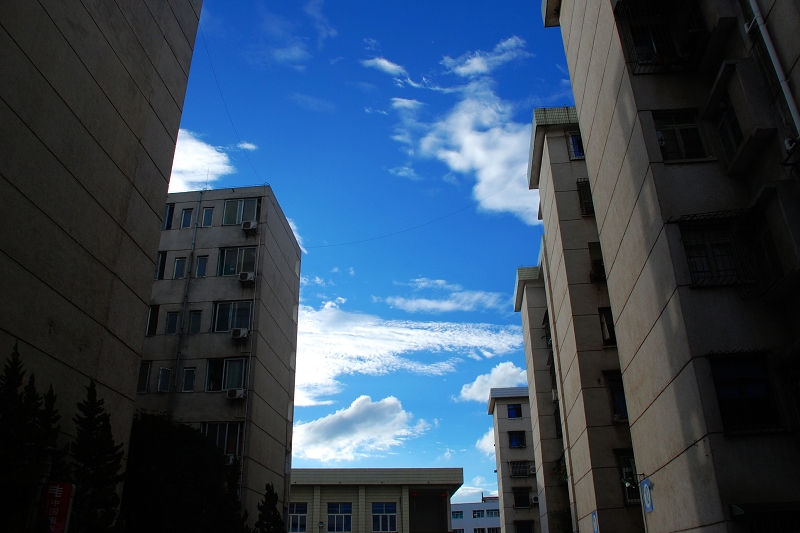 DSC_0043.jpg