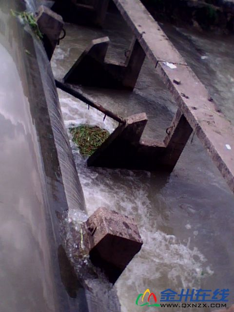 IMG0063A.jpg