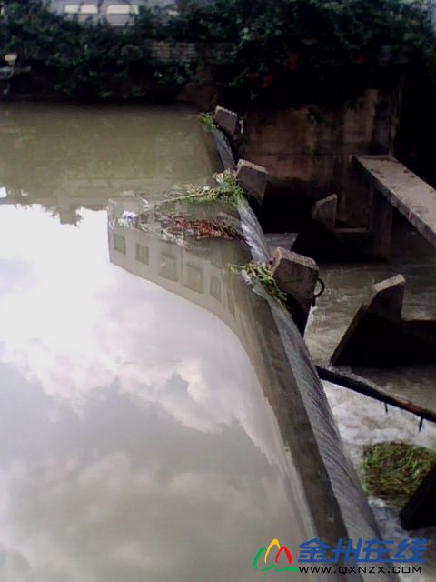 IMG0064A.jpg