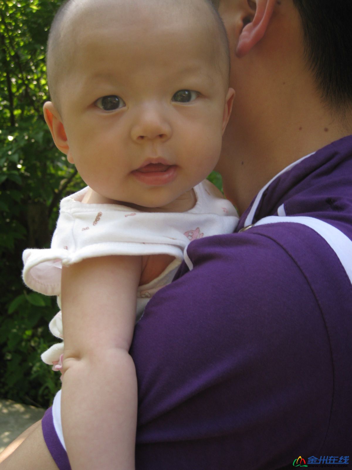 IMG_2882.JPG