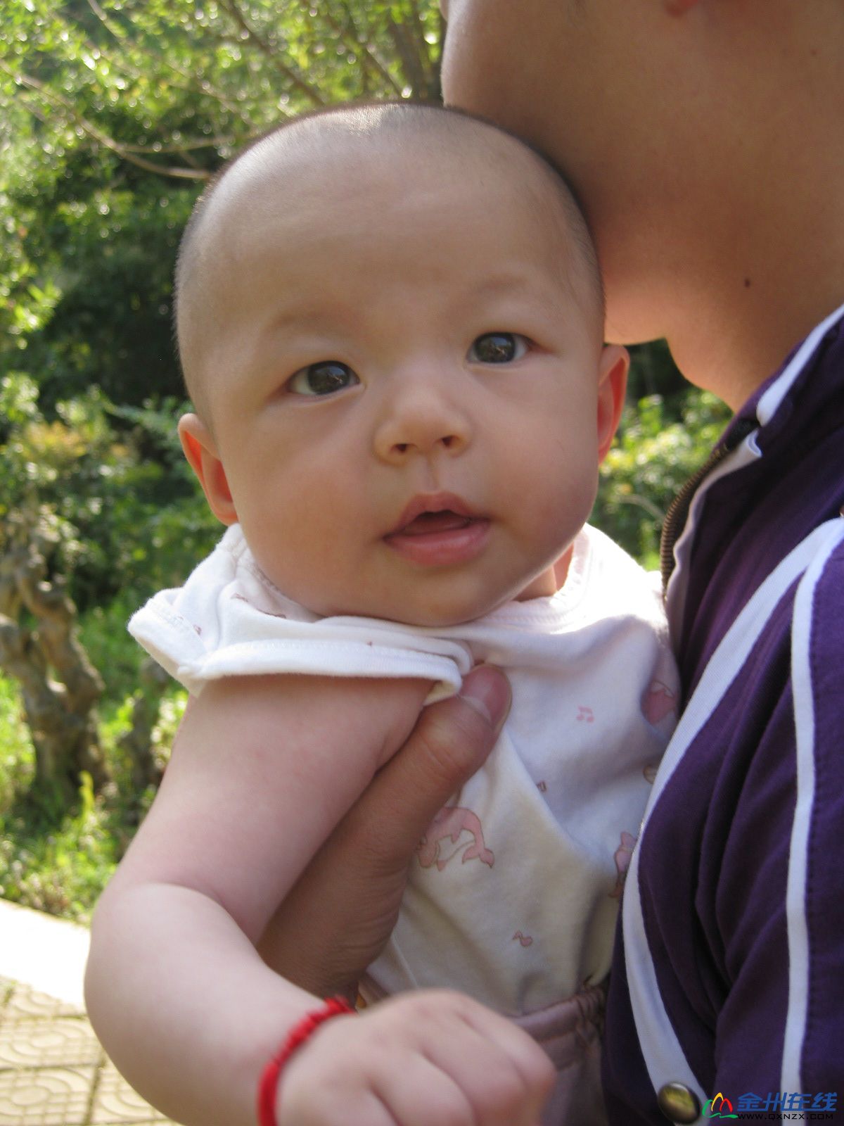 IMG_2880.JPG