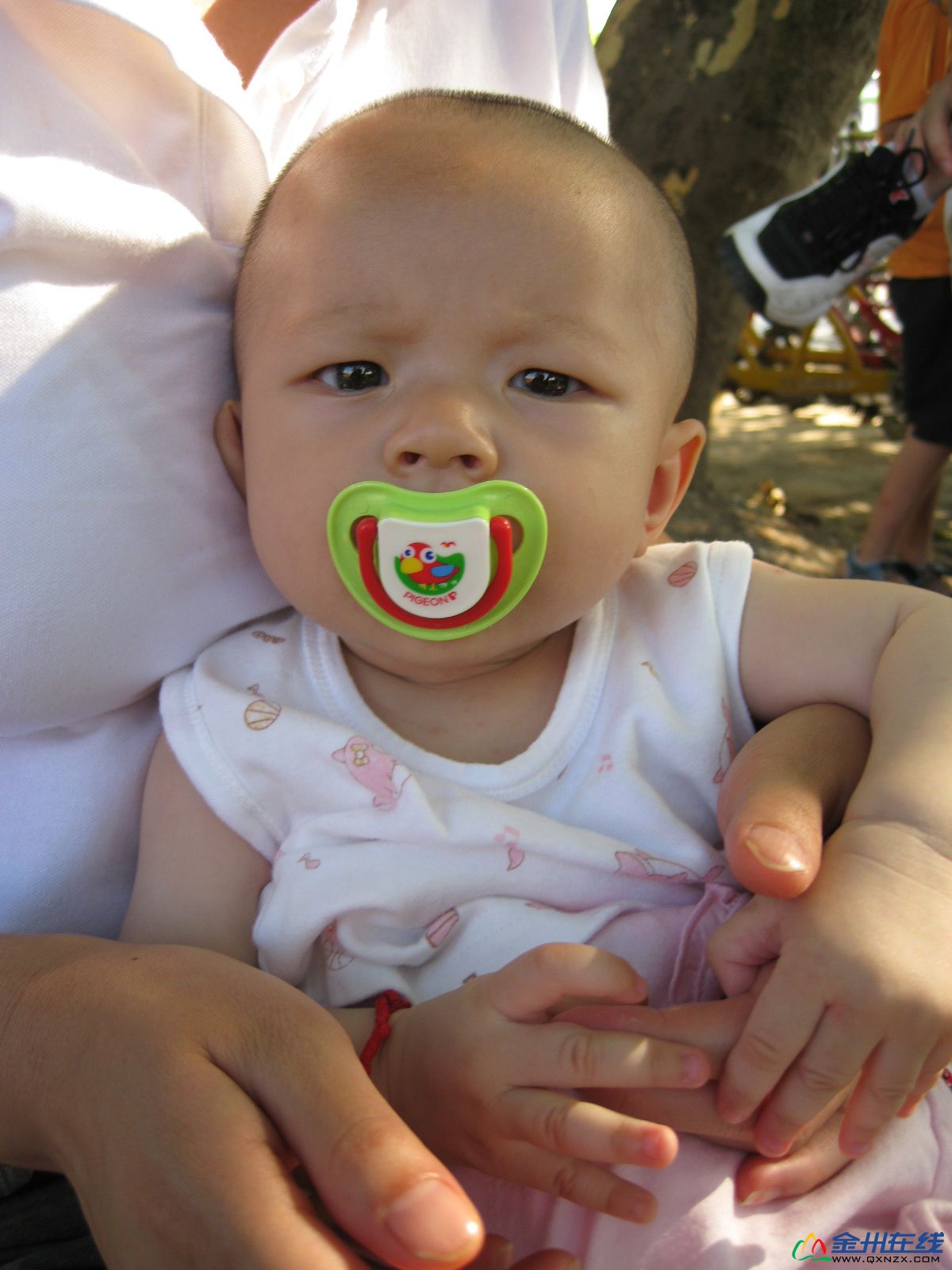 IMG_2892.JPG