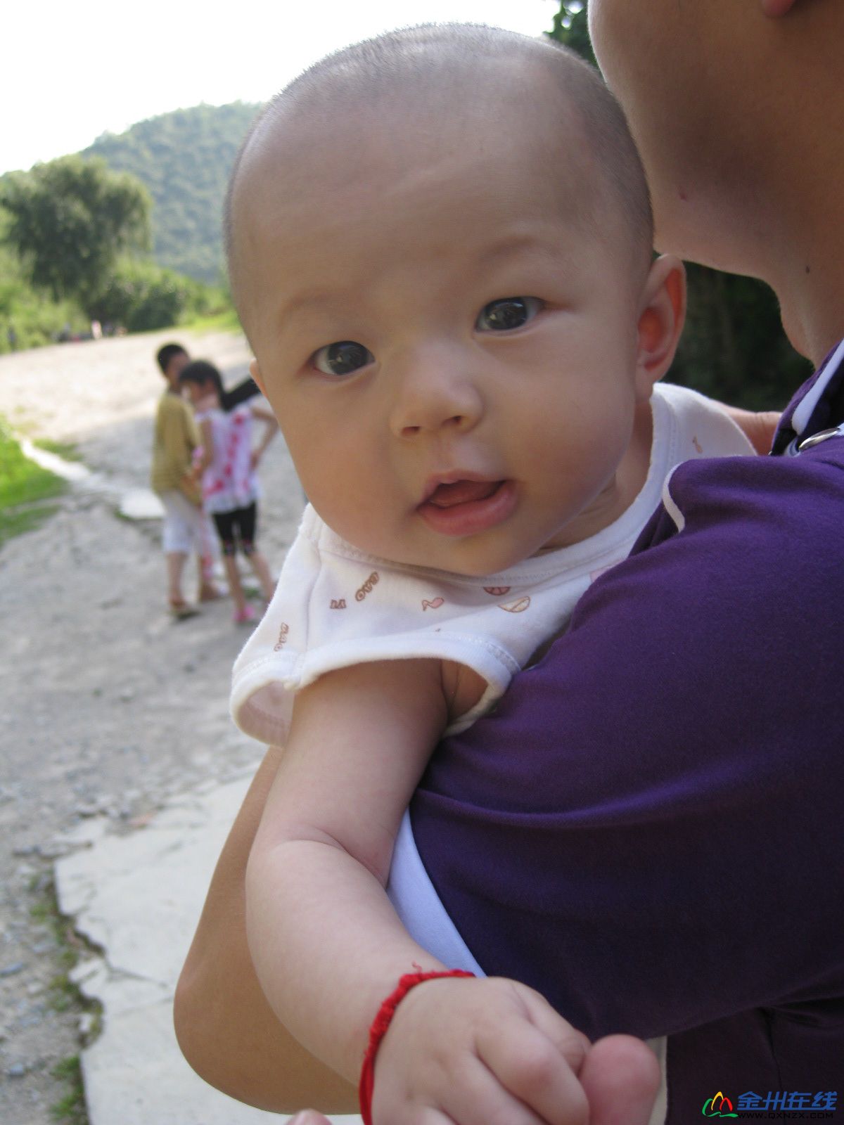 IMG_2886.JPG