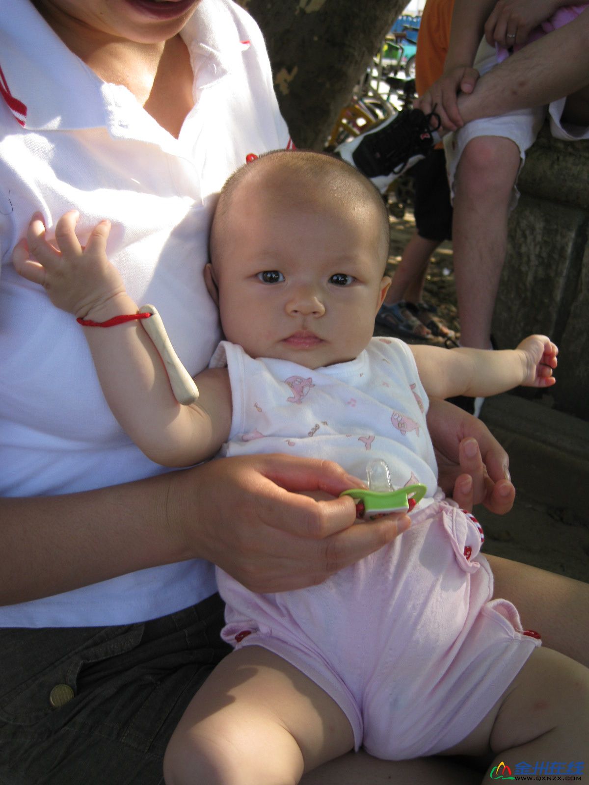 IMG_2894.JPG