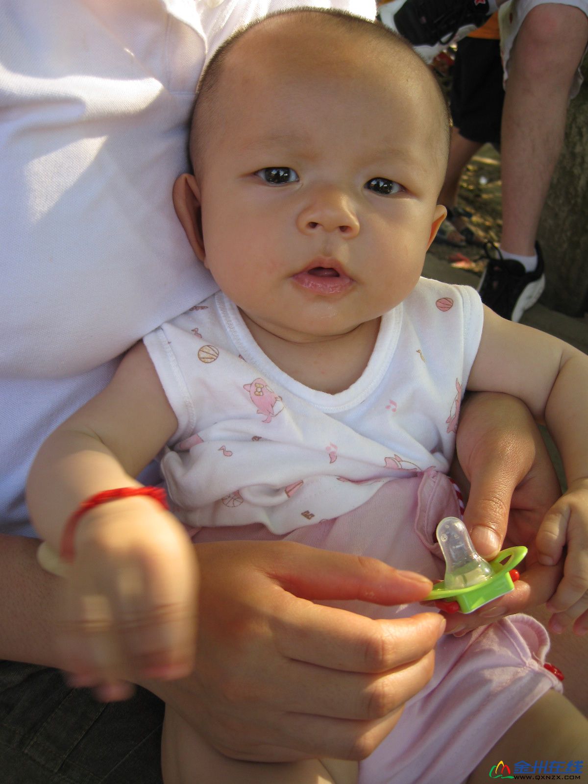 IMG_2893.JPG