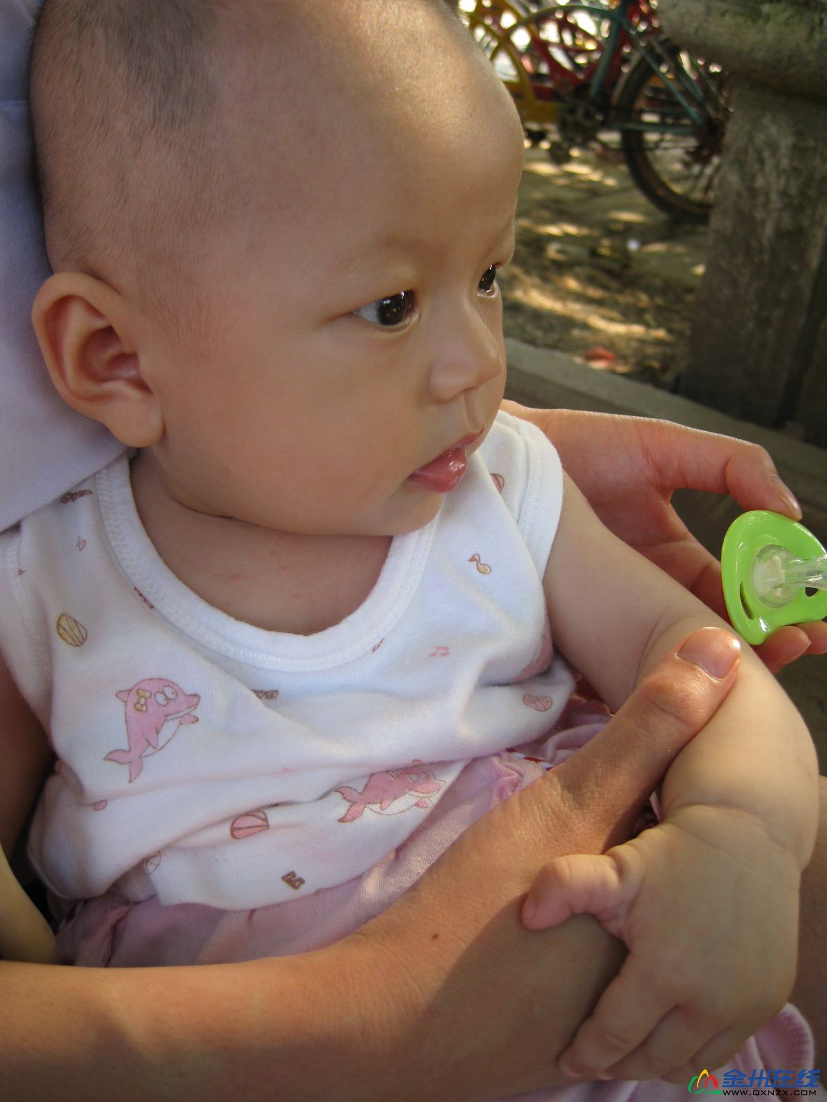 IMG_2896.JPG