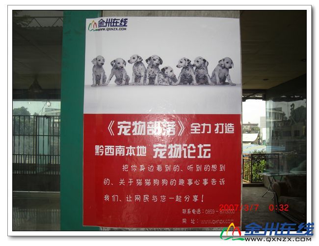 CIMG2177.JPG