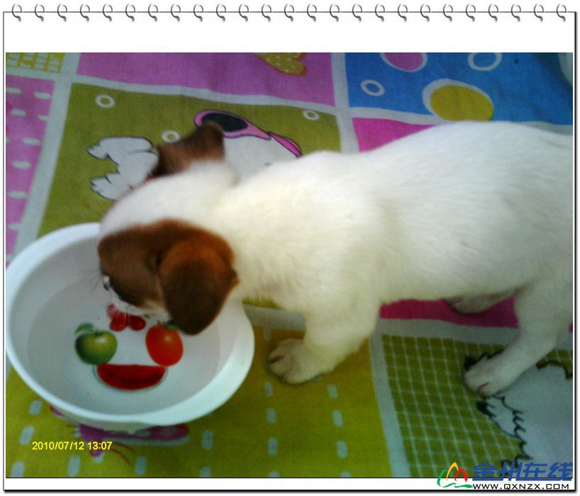 PICT0077.JPG