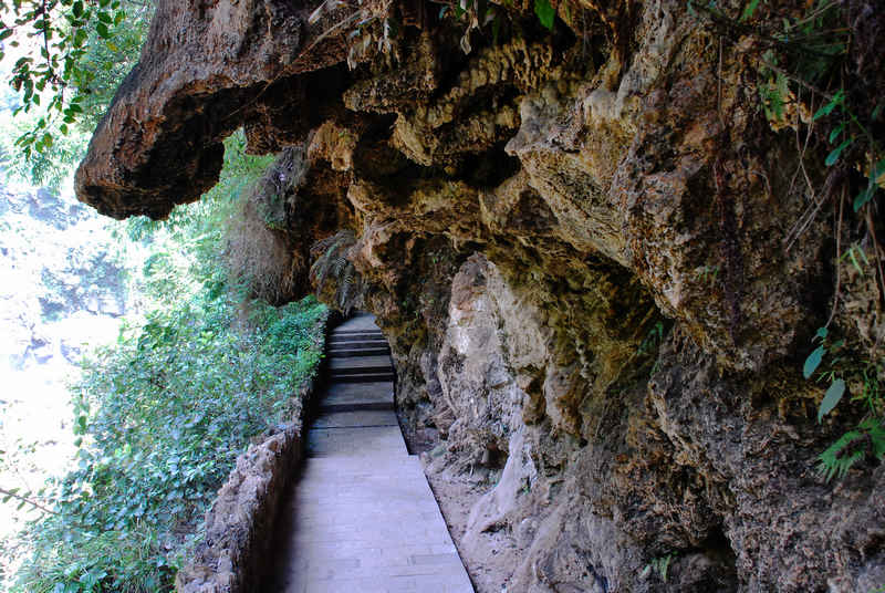 DSC_5203.jpg