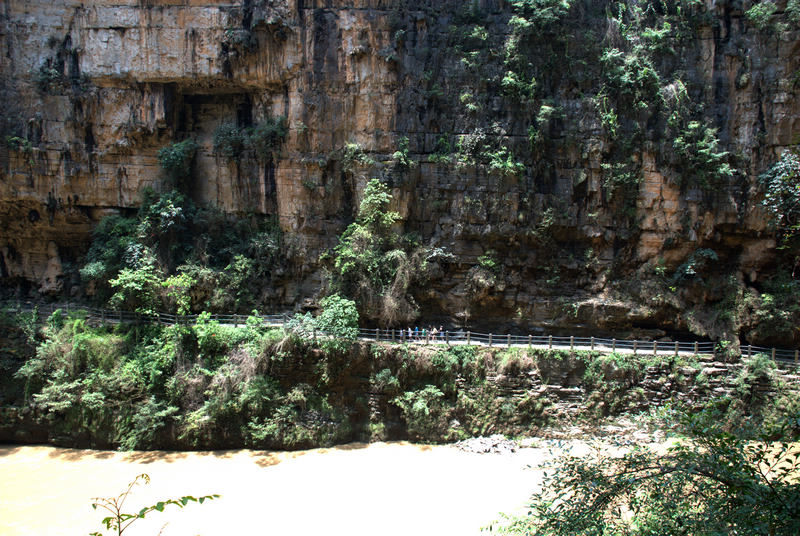 DSC_5272.jpg