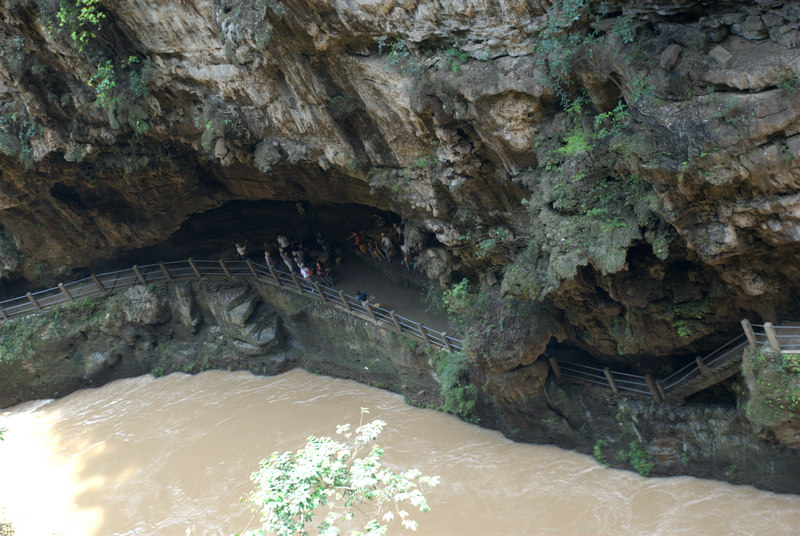 DSC_5317.jpg