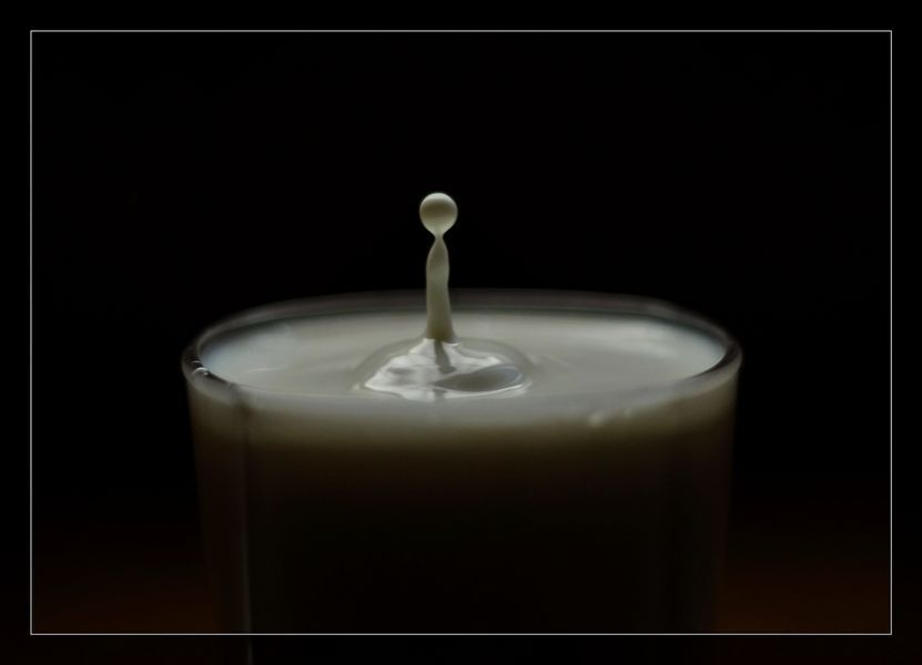 DSC_0077.jpg