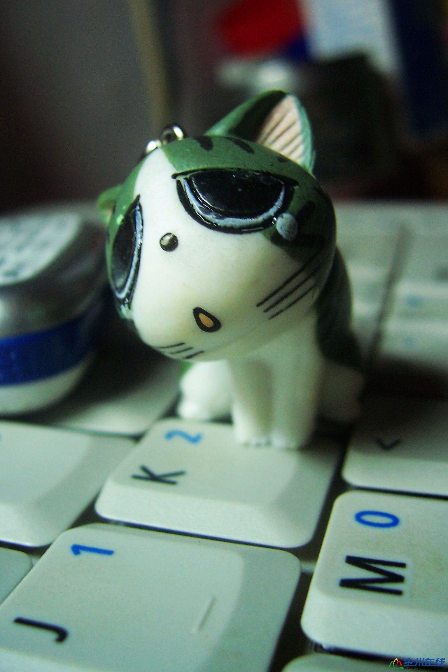 100_6404.JPG