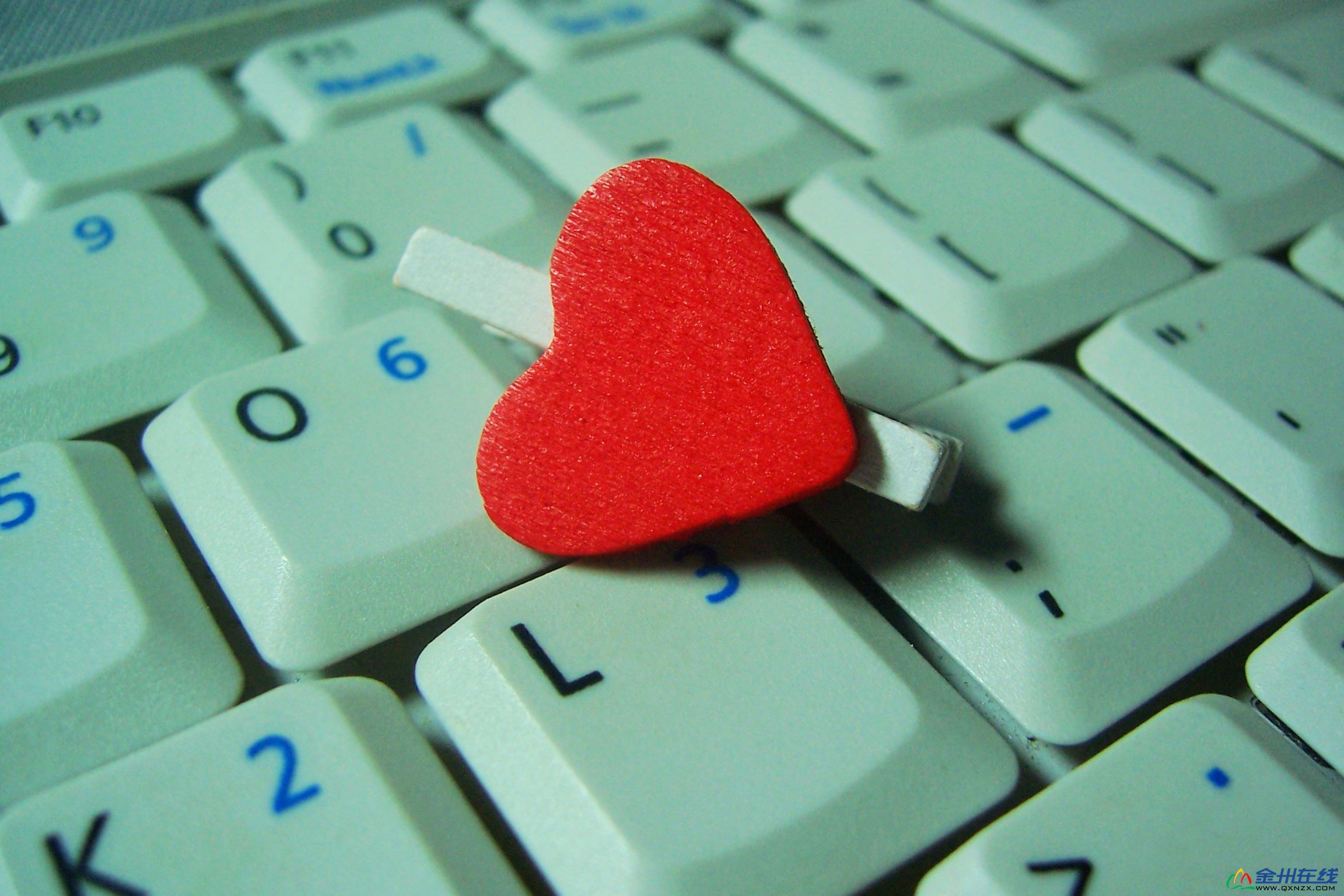 100_6424.JPG