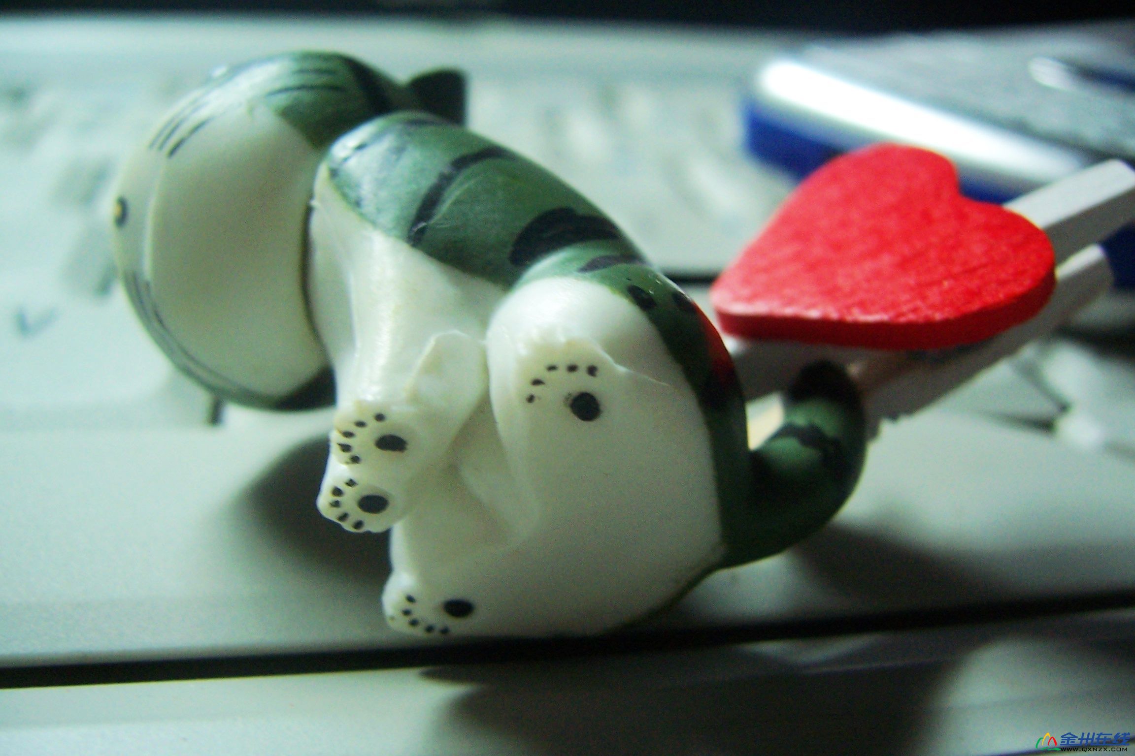 100_6428.JPG