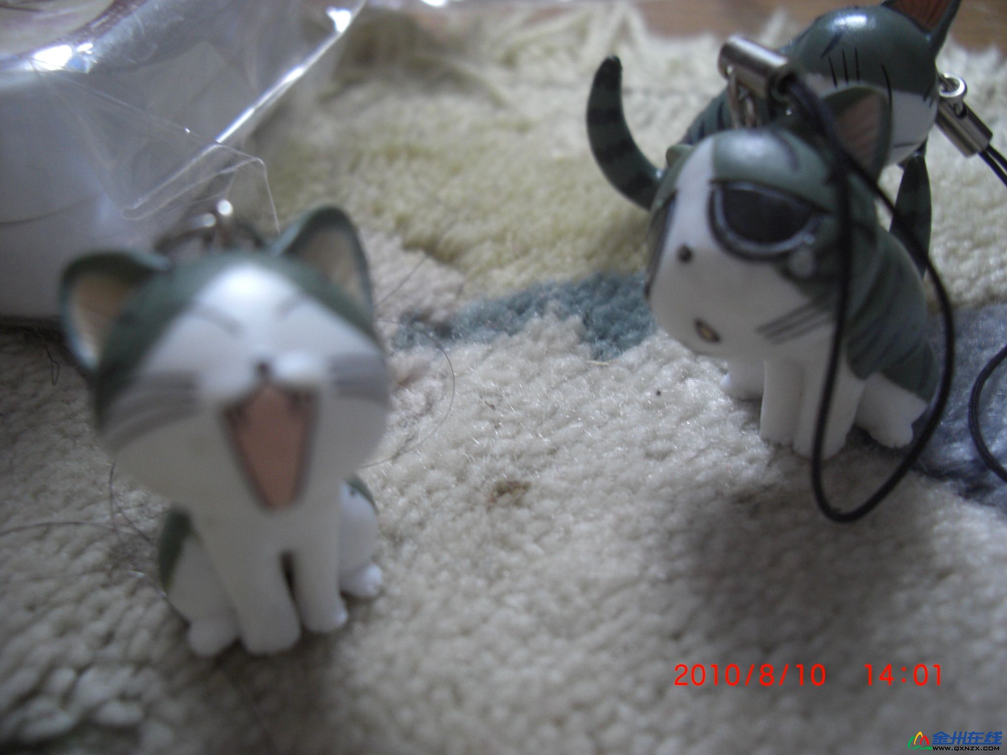 1405081pidjnjxjjdd0tjr.jpg