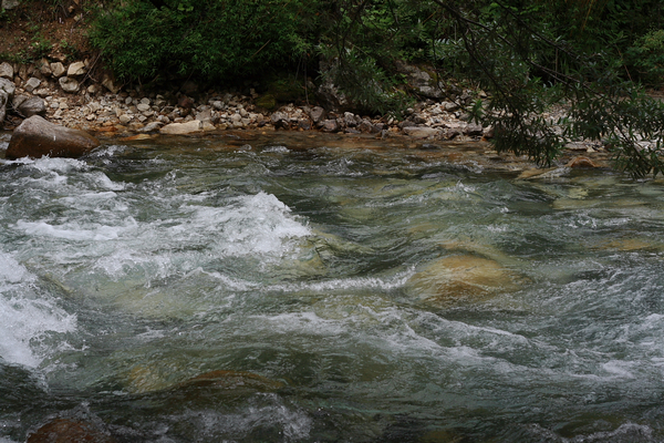 _MG_9433.jpg